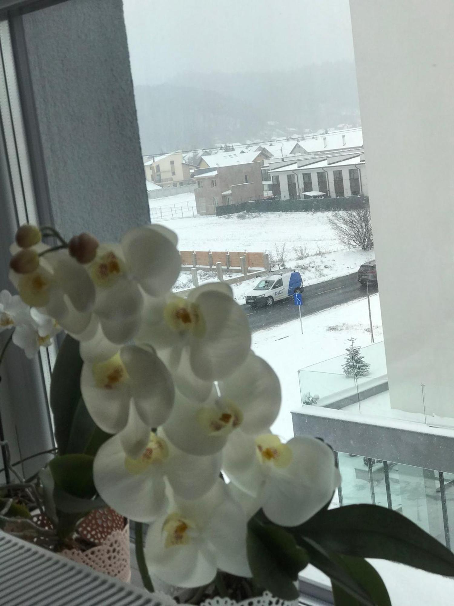 Deea H24 Apartman Rîşnov Kültér fotó